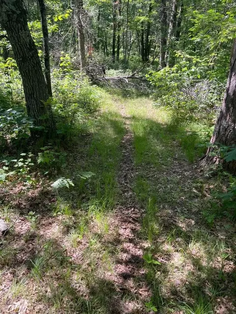 Other - 12997 E Mail Rd, Gordon, WI 54838 photo 11 of 12