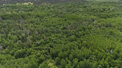 Other - 12997 E Mail Rd, Gordon, WI 54838 photo 7 of 12