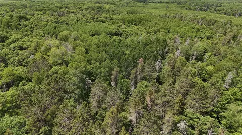 View/Area - 12997 E Mail Rd, Gordon, WI 54838 photo 5 of 6