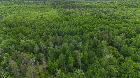 tbd E Mail Rd, Gordon, WI 54838 photo 17