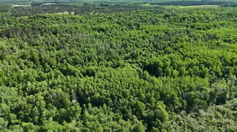 tbd E Mail Rd, Gordon, WI 54838 photo 6