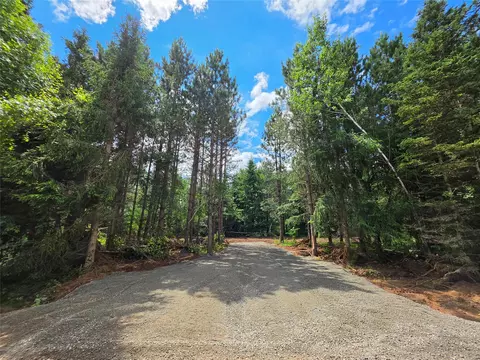 20 Acres Adams Road Rd, Bruce, WI 54819