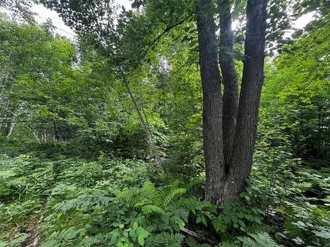 00 235th Ave, Georgetown, WI 54853 photo 9