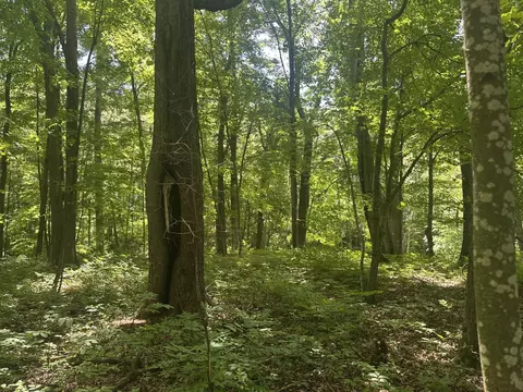 lot1 Becker Rd, Elk Mound, WI 54739