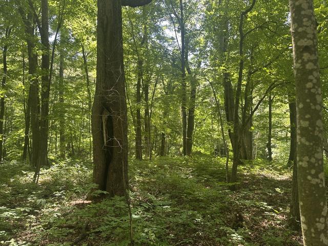 lot1 Becker Rd, Elk Mound, WI 54739