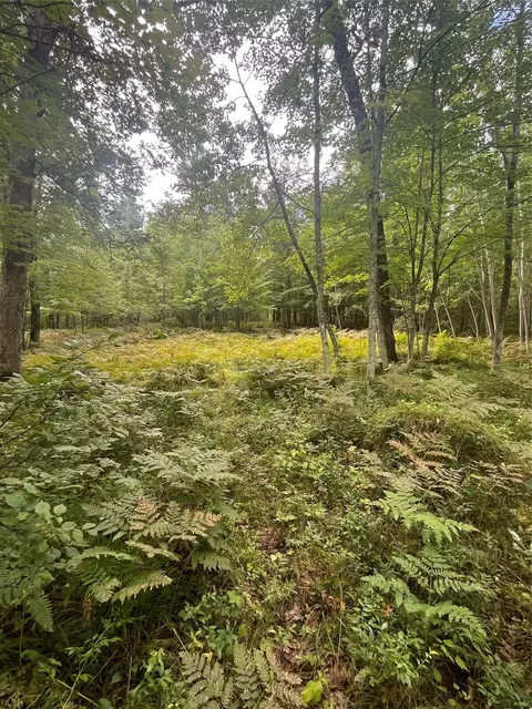 lot7 Crystal Lake Dr, Danbury, WI 54830 photo 14