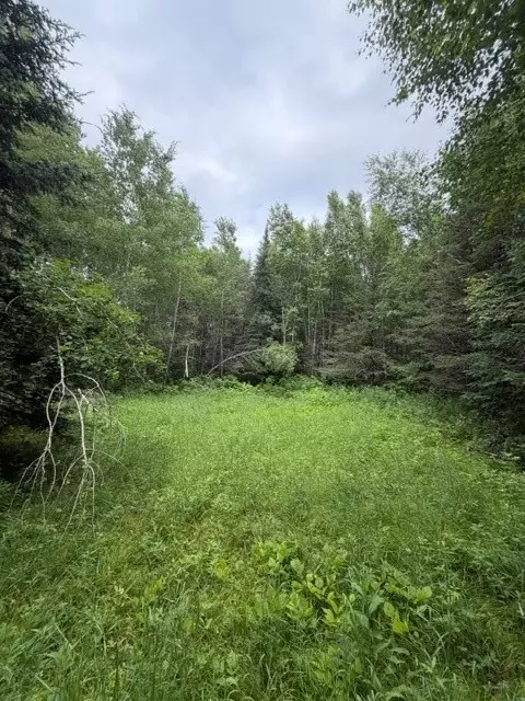 20 Acres South 5th Ave, Trego, WI 54888