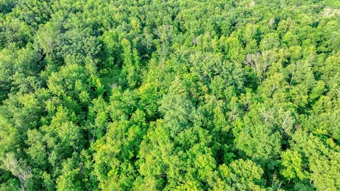 40 00 Acres 30th Ave, Chetek, WI 54728 photo 12