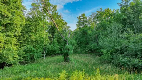 40 00 Acres 30th Ave, Chetek, WI 54728 photo 7