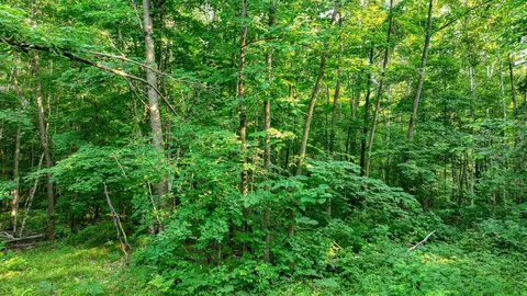 40 00 Acres 30th Ave, Chetek, WI 54728 photo 9