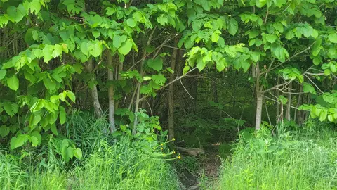 40 On Doland Rd # A, Winter, WI 54896 photo 8