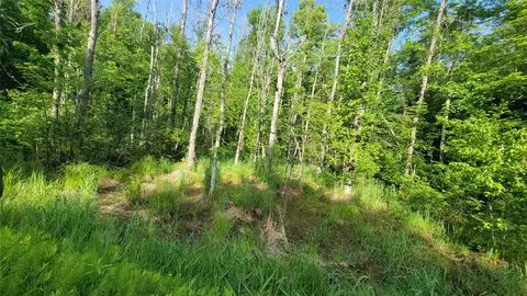 40 On Doland Rd # A, Winter, WI 54896 photo 6