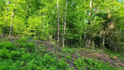 40 On Doland Rd # A, Winter, WI 54896 photo 7