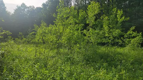 40 On Doland Rd # A, Winter, WI 54896 photo 9