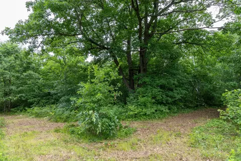 N1297 Cth E, Bruce, WI 54819 photo 38