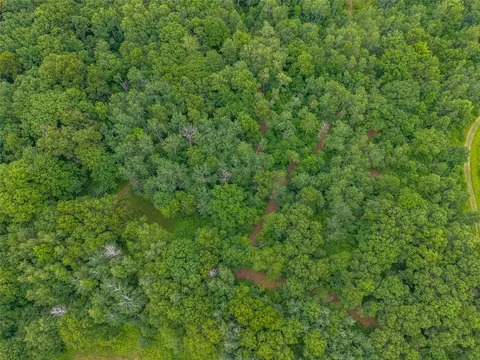 N1297 Cth E, Bruce, WI 54819 photo 24