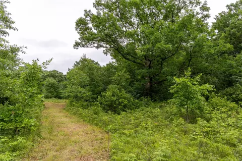 N1297 Cth E, Bruce, WI 54819 photo 13