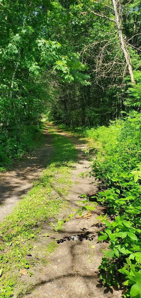 0 County Highway D, Holcombe, WI 54745 photo 7