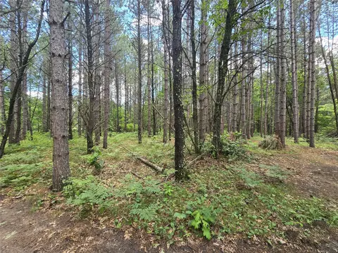 26131 Ostergren Rd, Webster, WI 54893 photo 8