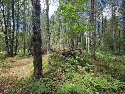 26131 Ostergren Rd, Webster, WI 54893 photo 13