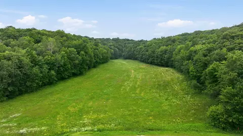 40 Acres County Rd S, Wheeler, WI 54772