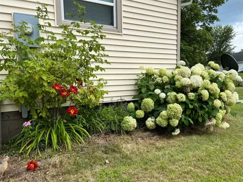Exterior - Undisclosed, Cornell, WI 54732 photo 8 of 8