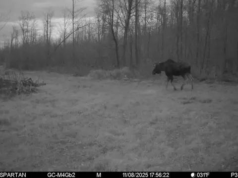 On County Road H, Radisson, WI 54867 photo 16