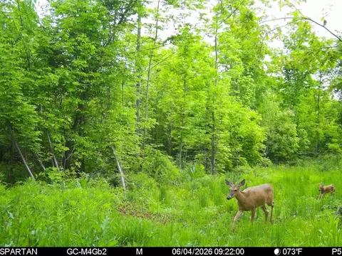 On County Road H, Radisson, WI 54867 photo 11