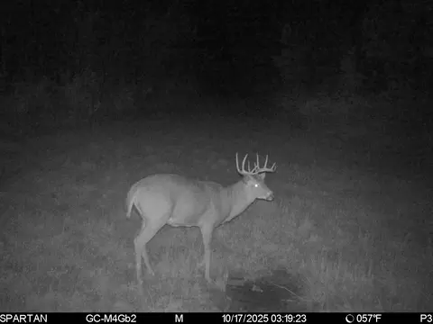 On County Road H, Radisson, WI 54867 photo 20