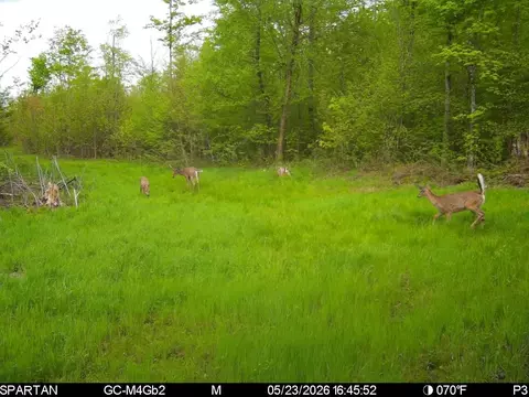 On County Road H, Radisson, WI 54867 photo 12