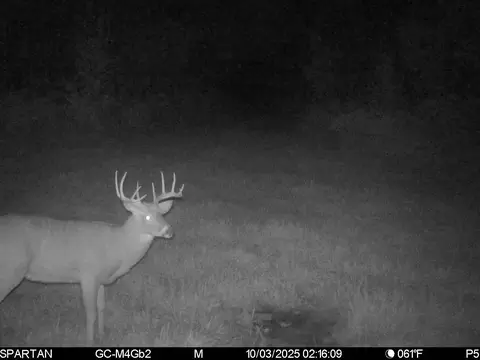 On County Road H, Radisson, WI 54867 photo 21
