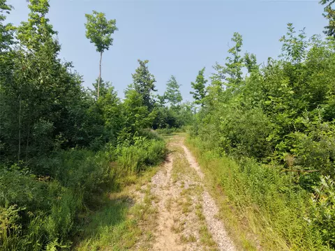 On County Road H, Radisson, WI 54867 photo 18