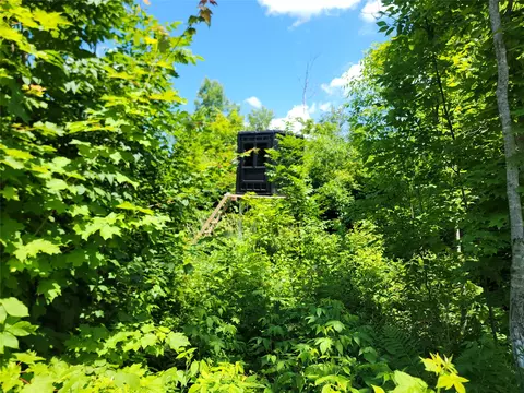 On County Road H, Radisson, WI 54867 photo 7