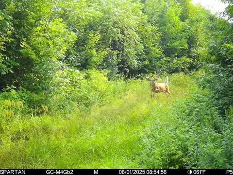 On County Road H, Radisson, WI 54867 photo 14