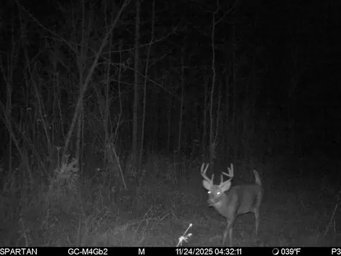 On County Road H, Radisson, WI 54867 photo 15