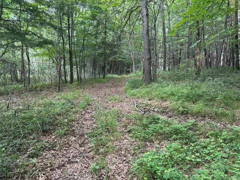 lot S 19 20 449th St, Menomonie, WI 54751