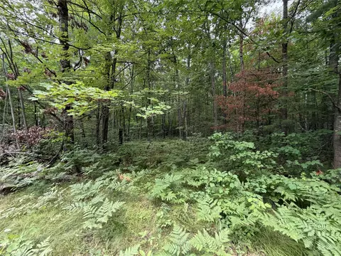 lot1 Nor Wis Rd, Hayward, WI 54843