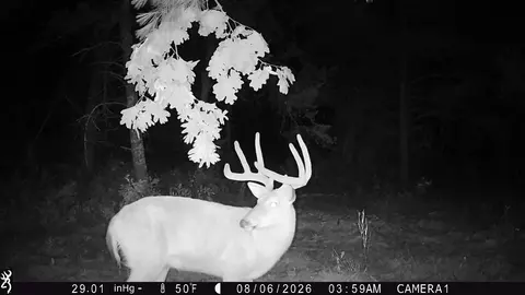 0 County Rd N, Augusta, WI 54722 photo 7