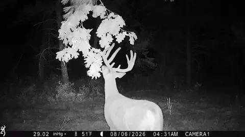 0 County Rd N, Augusta, WI 54722 photo 21