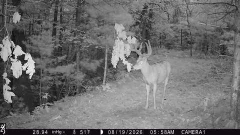 0 County Rd N, Augusta, WI 54722 photo 12