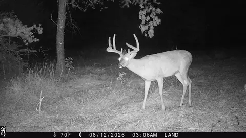 0 County Rd N, Augusta, WI 54722 photo 18