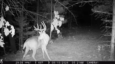 0 County Rd N, Augusta, WI 54722 photo 28