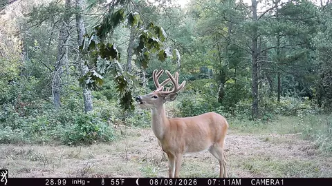 0 County Rd N, Augusta, WI 54722 photo 24