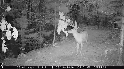 0 County Rd N, Augusta, WI 54722 photo 30