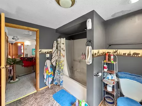 Bath - 709 N Oak St, Withee, WI 54498 photo 3 of 3