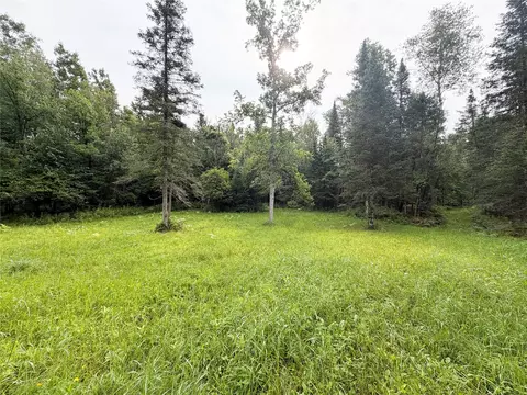 Exterior - w13159 Siech Road, Bruce, WI 54819 photo 14 of 18
