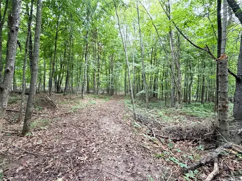 Other - w13159 Siech Road, Bruce, WI 54819 photo 8 of 12