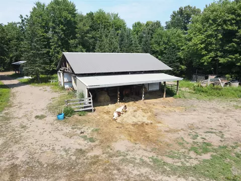 Exterior - w13159 Siech Road, Bruce, WI 54819 photo 6 of 18