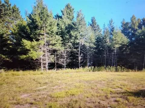 3380 W Us-hwy 63, Springbrook, WI 54875 photo 11