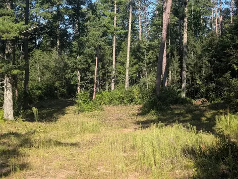 3380 W Us-hwy 63, Springbrook, WI 54875 photo 3